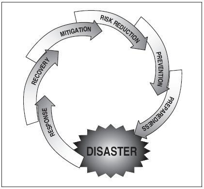 the disaster management cycle