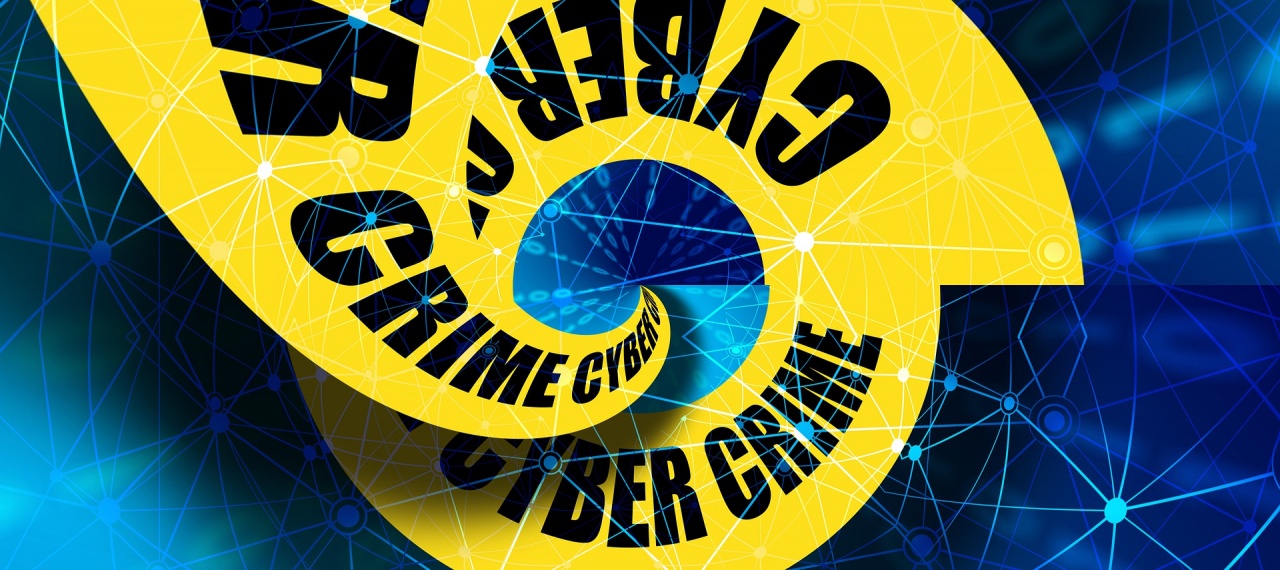 cyber crime