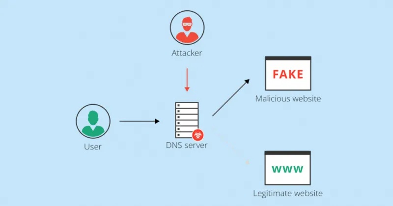 dns pharming webp