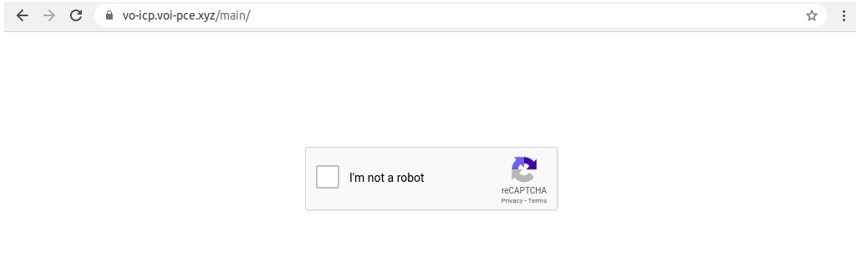 recaptcha falsi2