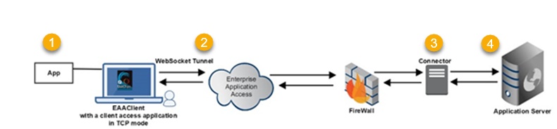 eaa, enterprise application access