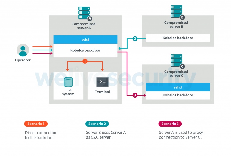 figure 2  overview of kobalos features and ways to access them 768x519