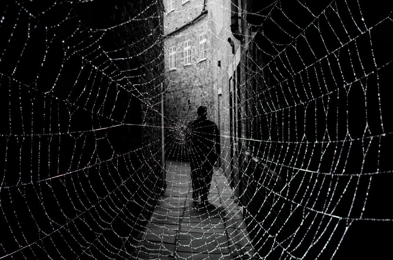 dark street and cobweb 1476345404bfr